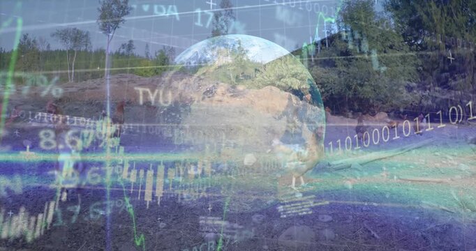 Animation of graphs and data processing over cheering sports fans at stadium