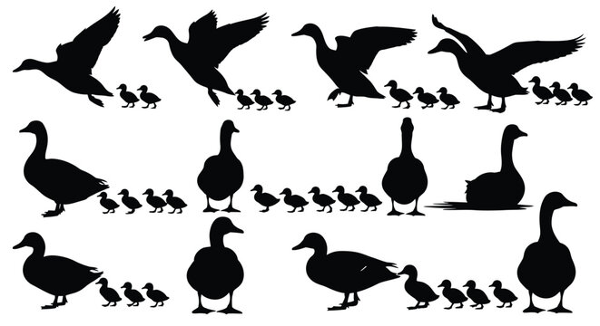 A collection of black duck and gosling silhouettes in various poses