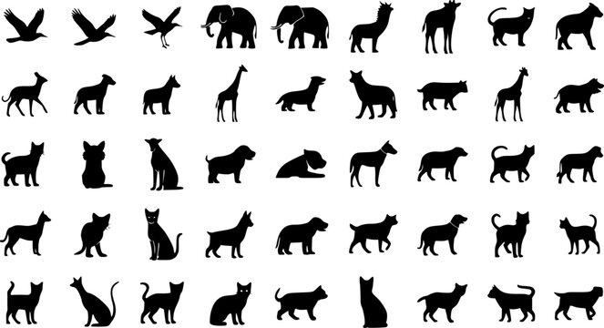 Solid black silhouettes collection of various animals, minimalist wildlife and domestic pets vector illustration isolated on white.