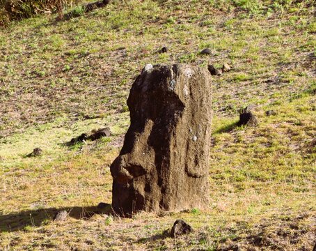 The Silent Moai
Der schweigende Moai