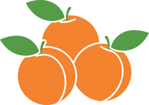 Illustration of three juicy and vibrant apricots with green leaves on transparent background