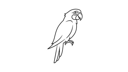 Fototapeta premium Simple Line Drawing of a Parrot Perched
