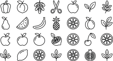 Hand drawn fruit and plant line icon set with apple banana citrus leaf botanical food elements minimal outline vector © Mohammad