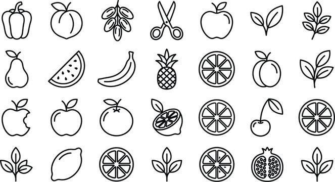 Hand drawn fruit and plant line icon set with apple banana citrus leaf botanical food elements minimal outline vector
