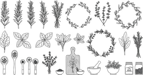 Hand Drawn Herbal Plants and Botanical Elements Collection with Leaves, Wreaths, Kitchen Herbs, Mortar Bowl, Spoons, and Natural Organic Illustration Set