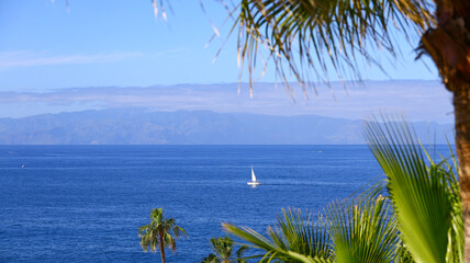 Obraz premium calm blue ocean stretching toward a distant horizon with a lone sailboat gliding across the water, framed by tall palm leaves and soft summer light that creates a peaceful and elegant seaside atmosphe