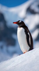 Obraz premium A solitary penguin stands gracefully on a snowy ledge, framed by distant icy mountains and blue skies