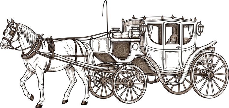 Antique horse drawn carriage illustration with detailed vintage coach and harnessed horse, historical transport vehicle vector engraving style