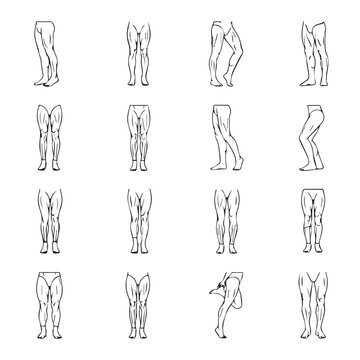 Human Legs Anatomy Study Set Different Poses and Angles Line Art