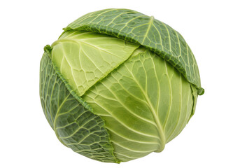 Obraz premium Fresh green cabbage leaf with natural light highlights isolated on transparent background,png,PNG