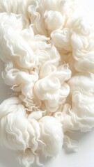 Fototapeta premium Soft White Wool Fibers Gently Woven in Studio Light with Delicate Sparkles