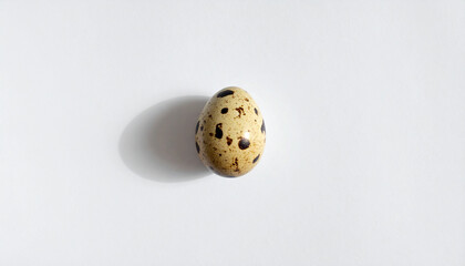 Single speckled quail egg isolated on a clean white background with soft shadow