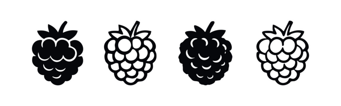 Hand drawn raspberry icon set. Blackberry vector illustrations in black and outline.