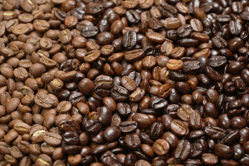 Fototapeta premium Close-up of roasted Arabica coffee beans. stacked together, ready to be brewed into a delicious cup of coffee.