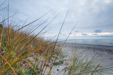 Low-angle view of windswept dune grass along a tranquil sandy beach with a soft cloudy sky and distant horizon, evoking calm, solitude and natural coastal beauty during early morning light.
