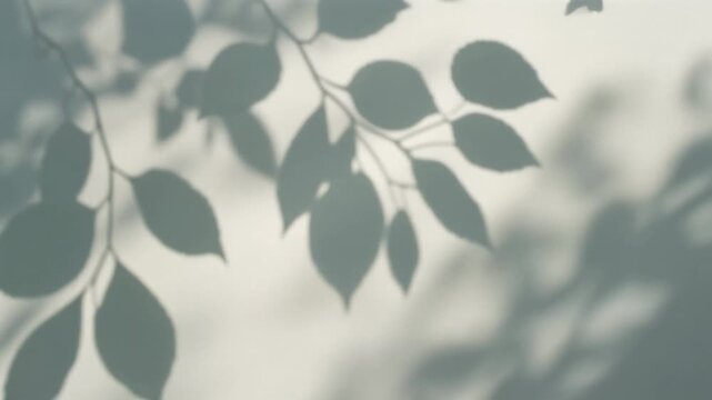 Dappled Shadows Of Leaves Swaying Gently On Bright Surface