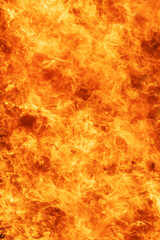 Fototapeta premium Fire flame background