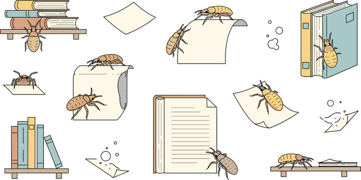 Booklice Insect Vector Set with Library Books Paper and Shelves Showing Tiny Paper Eating Bugs Educational Pest Illustration Collection Isolated on White