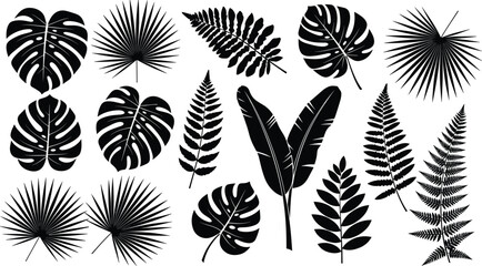 Tropical leaves silhouette vector set including monstera, palm and fern foliage collection isolated black botanical elements for jungle, summer and nature design © KP Studio
