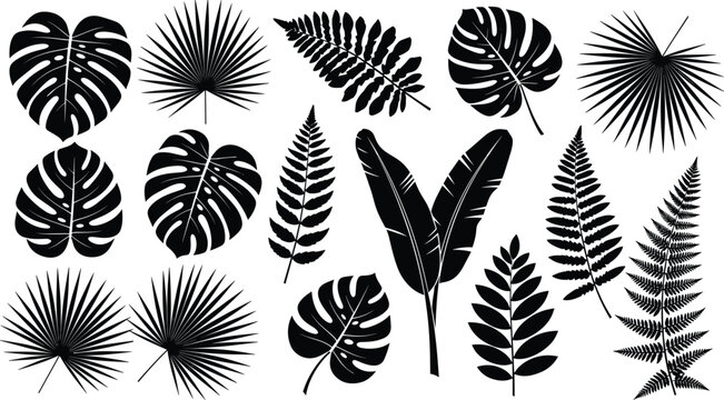 Tropical leaves silhouette vector set including monstera, palm and fern foliage collection isolated black botanical elements for jungle, summer and nature design