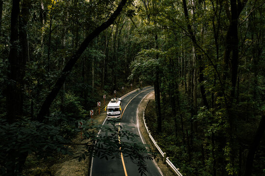 Aerial view of a bus winds along a road, cutting through a dense forest with deep greens and shadows, Bohol, Central Visayas, Philippines.
