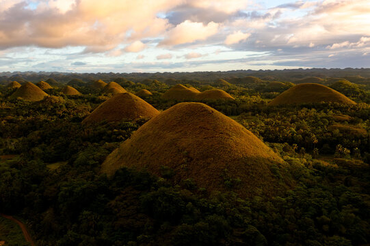 Aerial view of the iconic Chocolate Hills rise majestically from the earth, their conical forms casting long shadows under a sky painted with hues of dawn, Bohol, Central Visayas, Philippines.