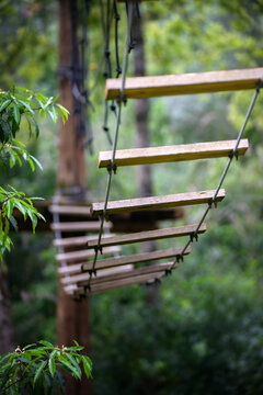 Tree top adventure course with wooden planks and ropes in a forest setting for climbing and exploring near the ground