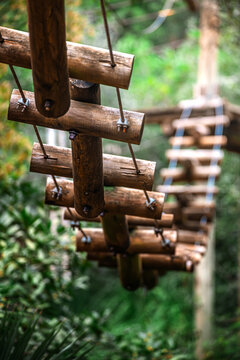 Tree top adventure course with wooden planks and ropes in a forest setting for climbing and exploring near the ground