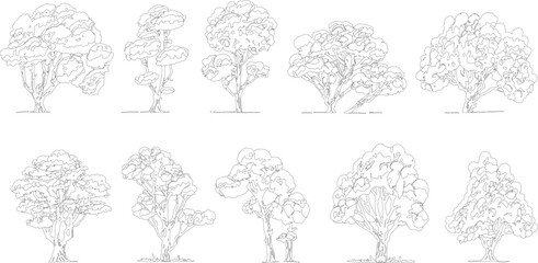 Ten distinct black and white line of various trees with detailed foliage and trunks outline © Pixel Park