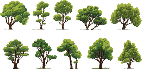 Ten diverse green trees with brown trunks and leafy canopies on a white background nature plant foliage © Pixel Park
