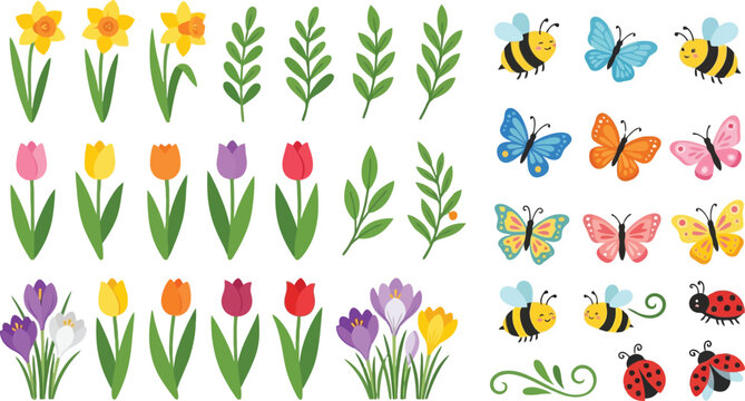 Spring flowers and insects collection including daffodils tulips crocuses bees butterflies ladybugs green leaves isolated vector set