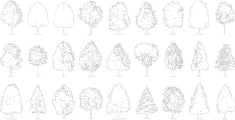 Collection of black and white line of various deciduous and coniferous trees outline © Pixel Park