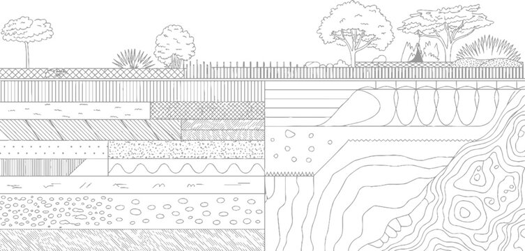 Cross section diagram of layered soil strata with surface vegetation and geological formations layers