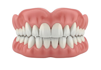 Fototapeta premium A detailed illustration of a human upper and lower dental arch with aligned teeth isolated on transparent background,png,PNG