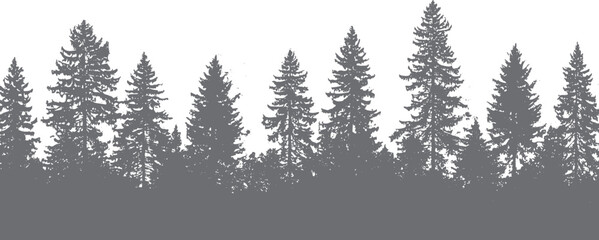 Fototapeta premium Evergreen forest silhouette with varied pine trees against a white background nature
