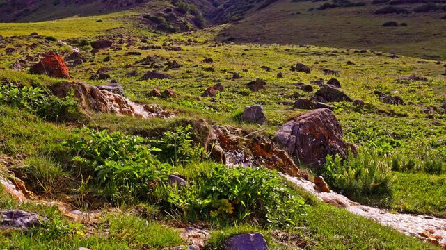 Water with iron bacteria flows gently over rocks in a peaceful mountainous landscape. Lush green grass and large boulders enhance the vibrant natural setting.