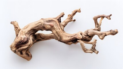 Fototapeta premium Exotic Natural Wood Branch with Intricate Twists and Turns.