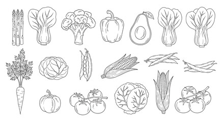 Fototapeta premium Comprehensive collection of various vegetables in detailed black and white line art including cabbage carrots and corn.
