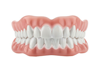Obraz premium Detailed illustration of a full set of adult human teeth in the upper jaw isolated on transparent background,png,PNG