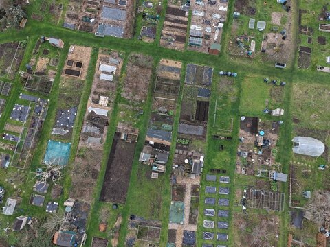 Aerial Overhead View of neet Allotment Gardens in Weybridge Surrey UK