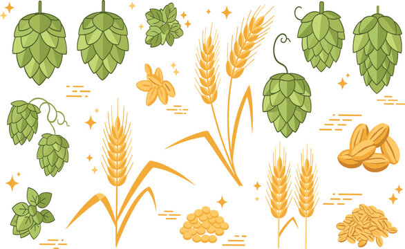 Beer brewing ingredients set with hops cones, barley, wheat and grains, craft brewery botanical elements collection for beer production design