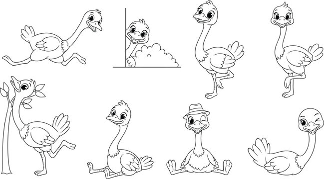 Set of cute ostrich character line art in various poses including running sitting and hiding for children coloring book and animal design.