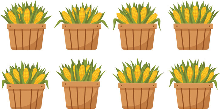 Cartoon Corn Plants in Wooden Pots for Agricultural and Farming Illustration
