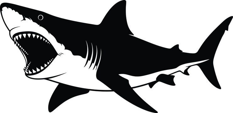 Black and white vector illustration of a powerful great white shark with open jaws isolated on a plain white background