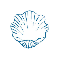 Seashell in doodle style. Sea snail shell in blue. Hand drawn vector outline illustration isolated on white background. © Anastasiia