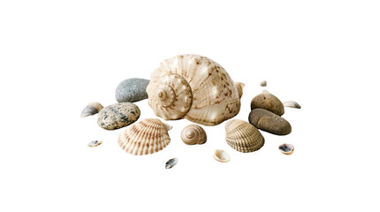 Miniature Beach Scene with Seashells and Sand on White Background — Coastal, Nostalgic, Serene — Perfect for Travel, Home Decor, Mindfulness, or Eco-Friendly Branding.  © design png