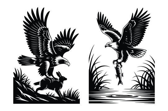 Eagle graphics: hunting rabbit and fishing