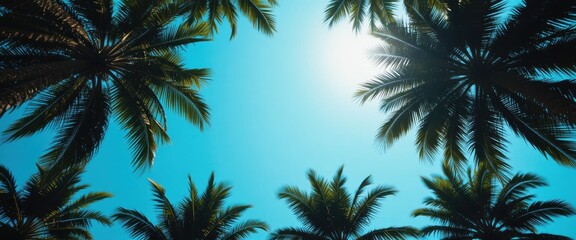 Fototapeta premium Vibrant View of Palm Trees Silhouetted Against a Bright Blue Sky with Radiant Sunlight