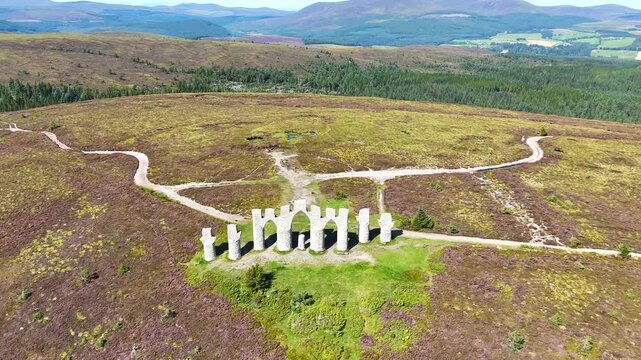 Vibrant Summer Landscape of Scottish Highlands with Fyrish Monument and Wild Purple Heather Flowers.