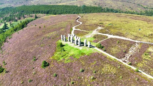 Aerial Cinematic View of Fyrish Monument Surrounded by Purple Blooming Heather in the Scottish Highlands.
